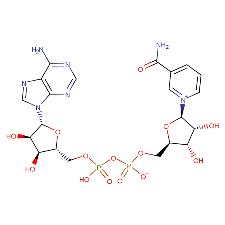 NikotinaSide Adenine Dinupleotide Cas # 53-84-9